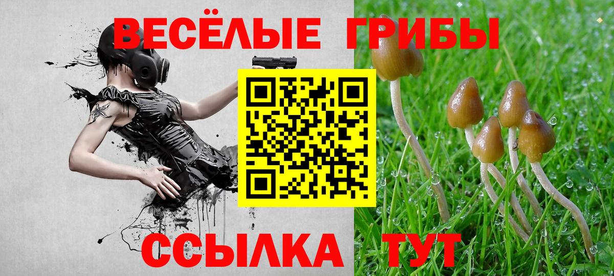 Псилоцибиновые грибы Magic Shrooms Корсаков