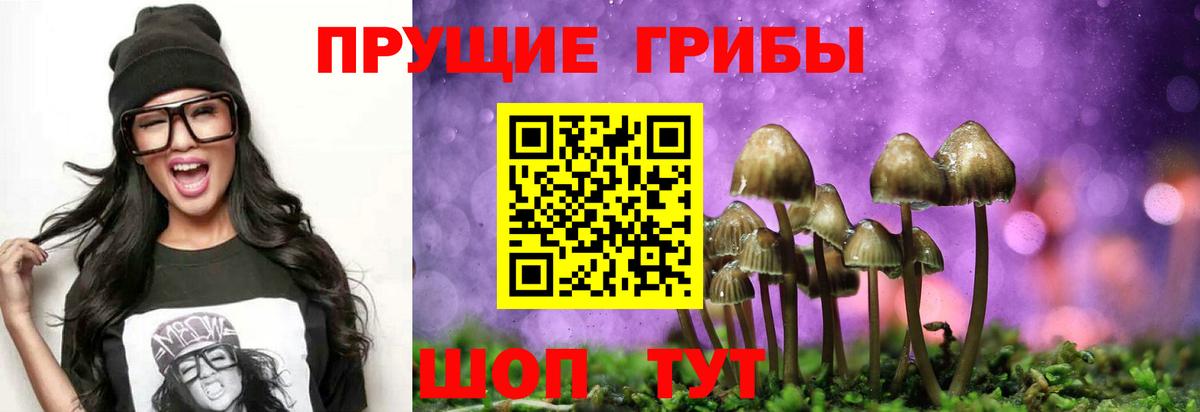 Галлюциногенные грибы MAGIC MUSHROOMS  Вход с VPN  Корсаков 